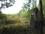 grenspaal in het Aamsveen